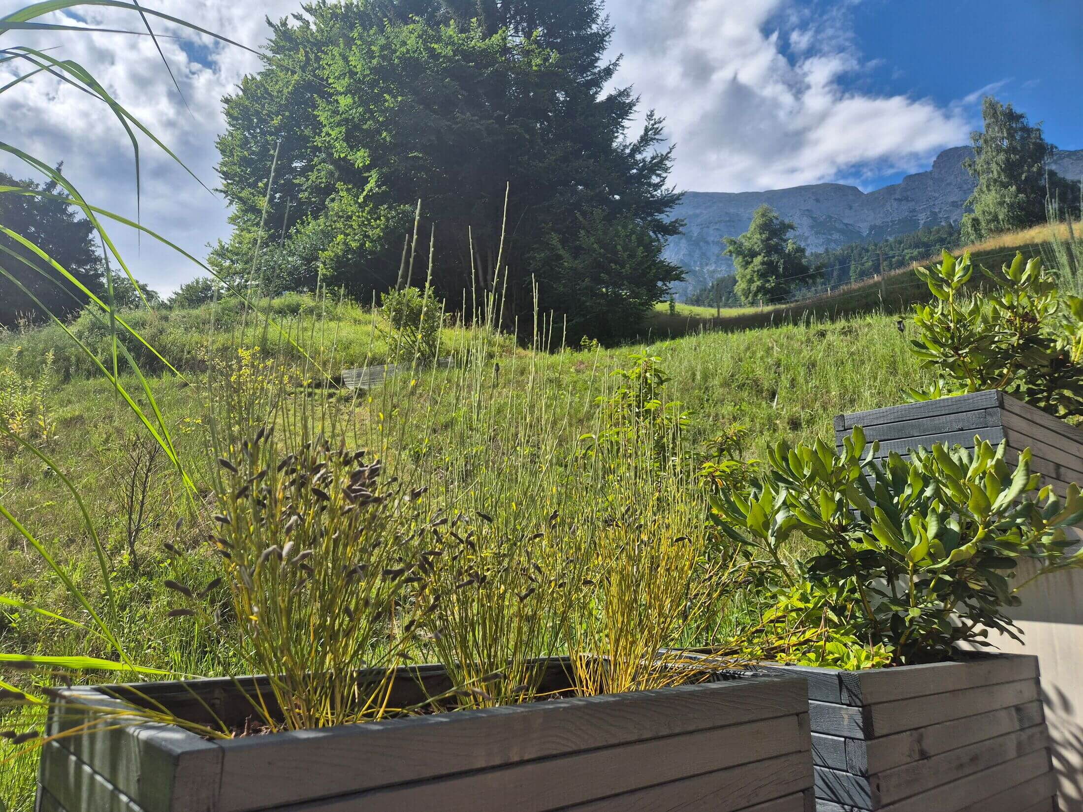 Ausblick von der Terrasse auf das Karwendelgebirge bei der Ferienwohnung Alpenfamilienglück.
