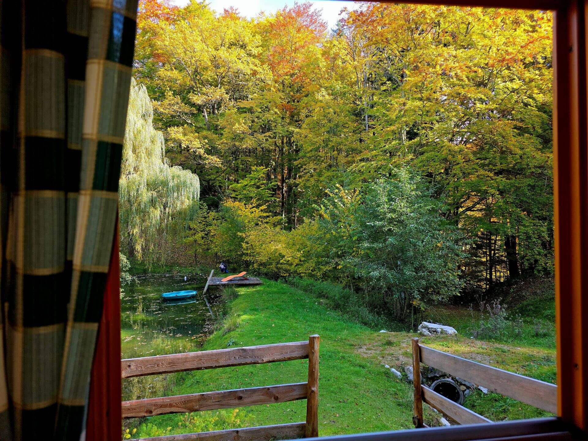 Beim Kochen in der Mühlenhütte mit Blick auf den Teich.