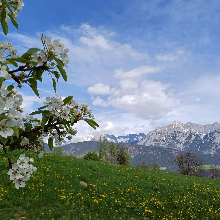 Blick von der Ferienwohnung Sternenhimmel in den Tuxer Alpen auf das Karwendelgebirge.