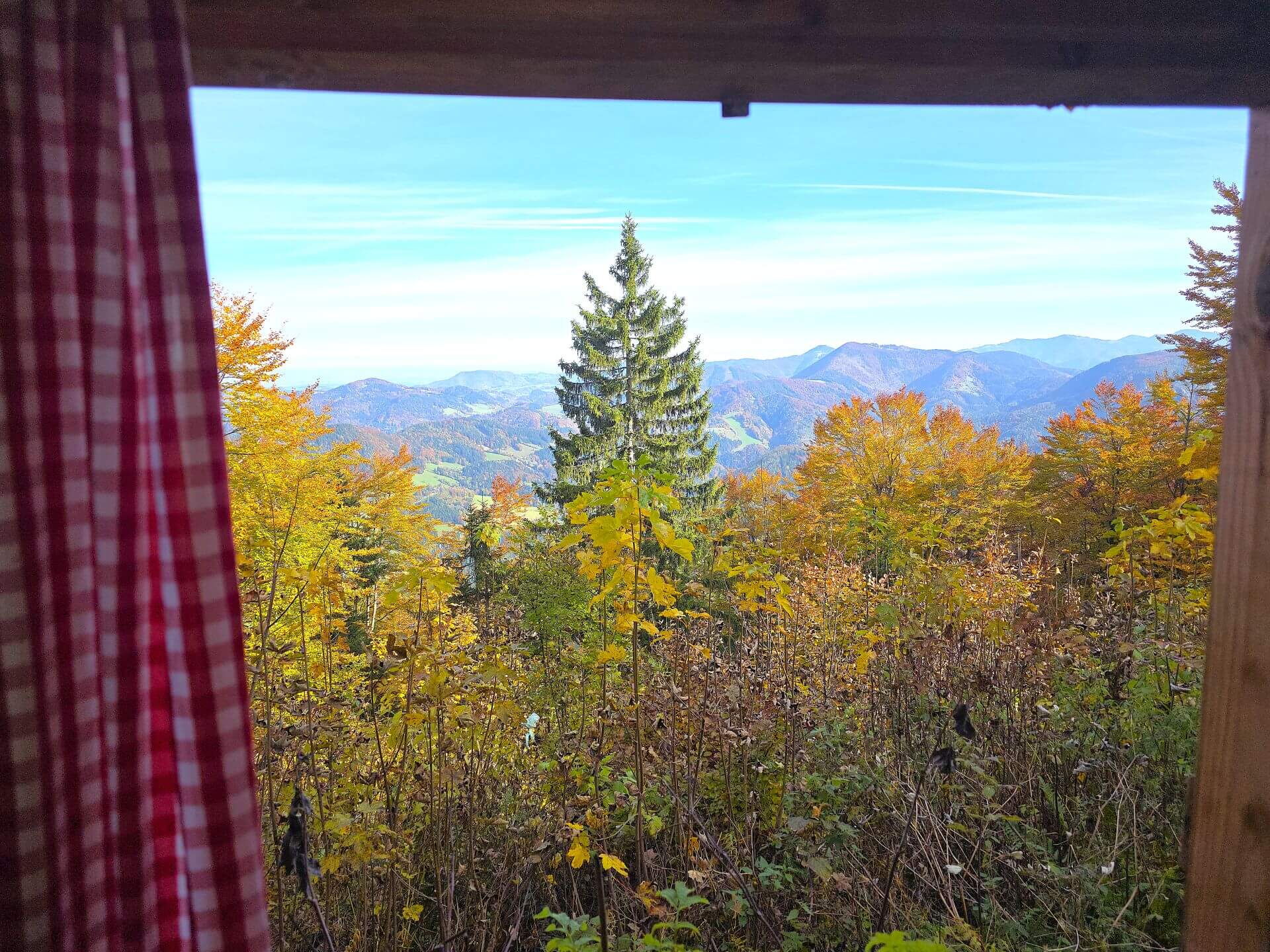 Blick von der gemütlichen Abenteuer-Hütte aus, aus dem Fenster.