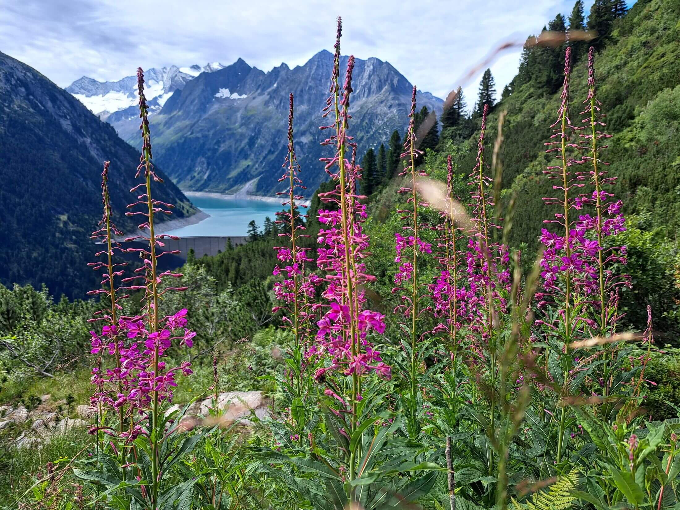 Nicht weit von deinem Alpenchalet, ist der Schlegeis Stausee im Zillertal.
