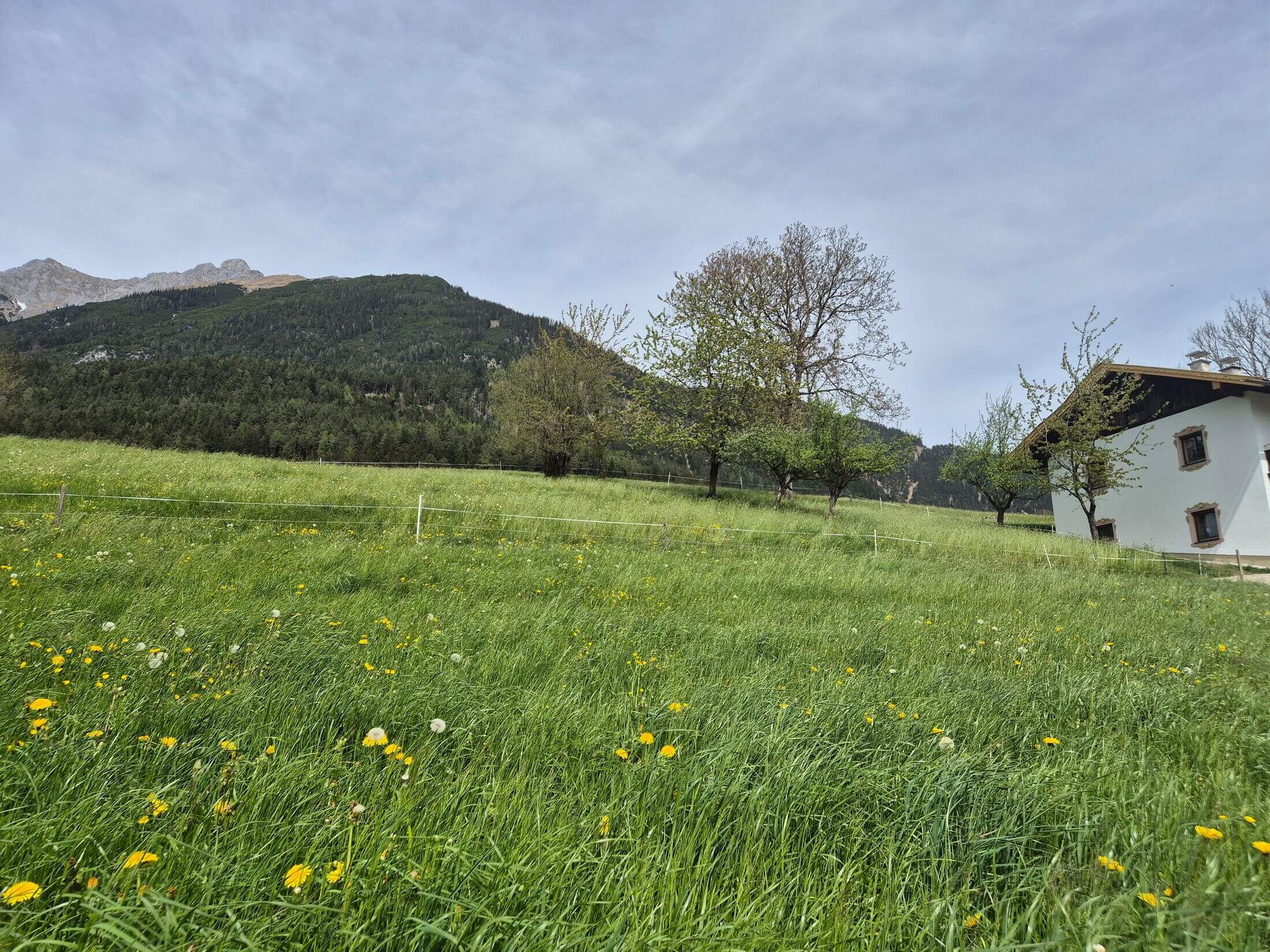 Das Ferienhaus Alpenrehblick, grüne Wiesen und das Karwendelgebirge.