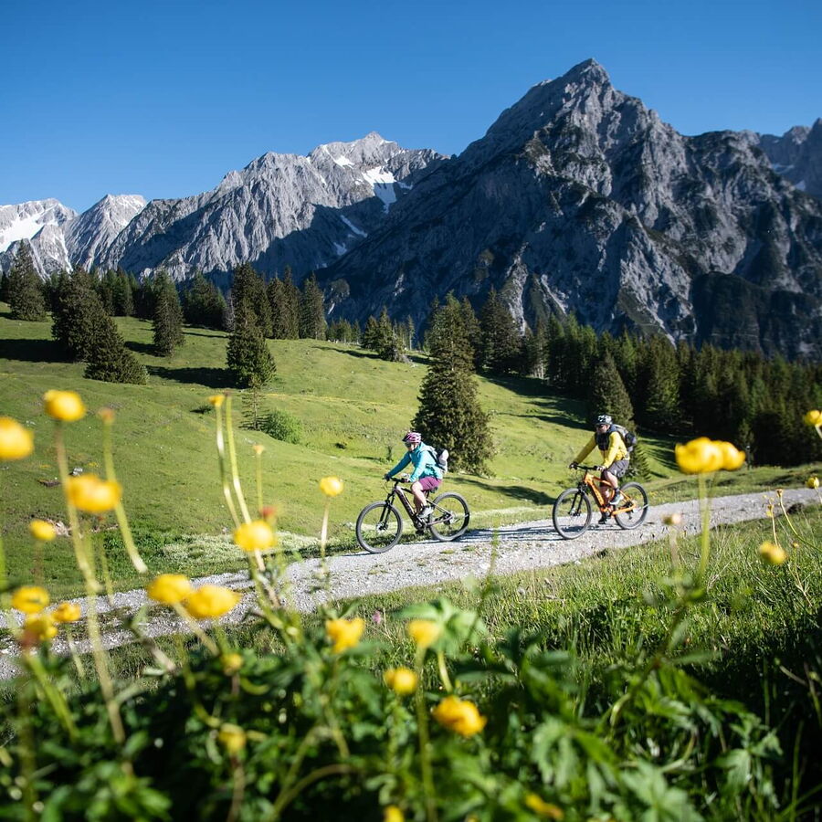 Mit dem Mountainibike zur Walderalm.