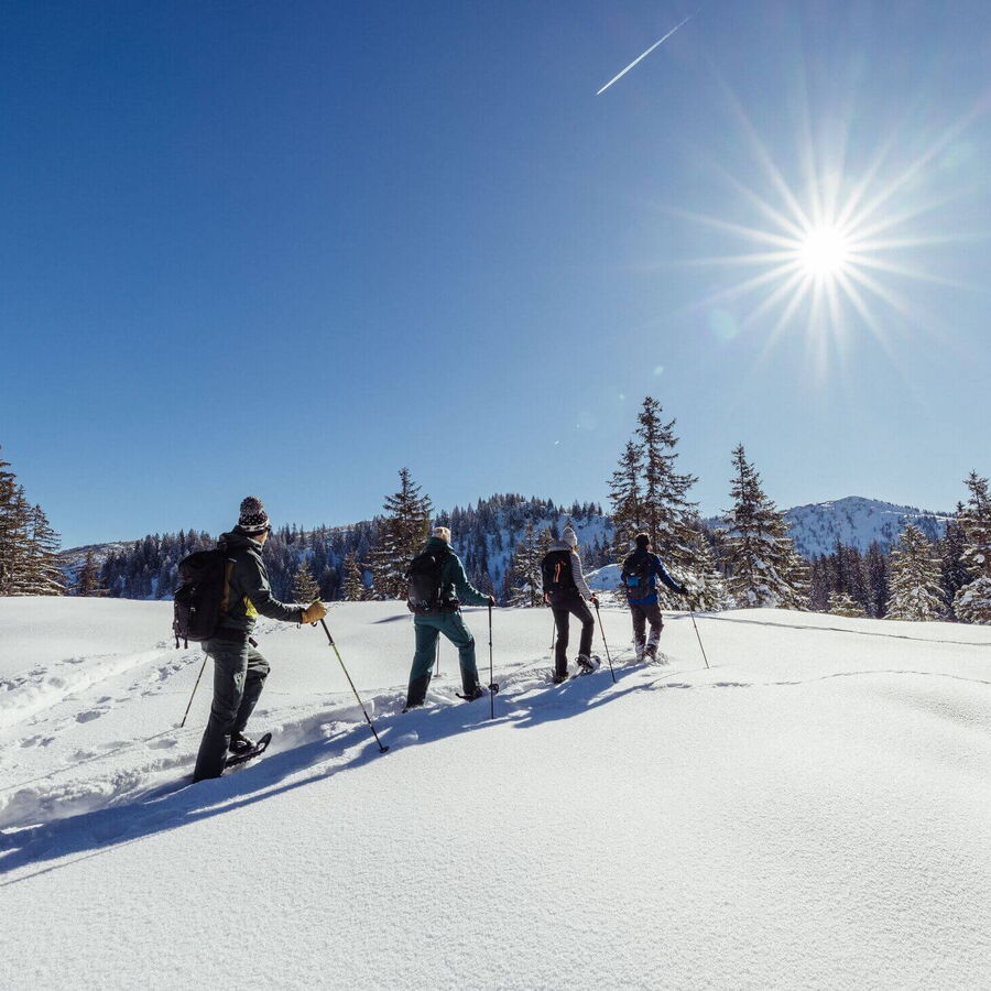 Winterparadies mit den Schneeschuhen erkunden.