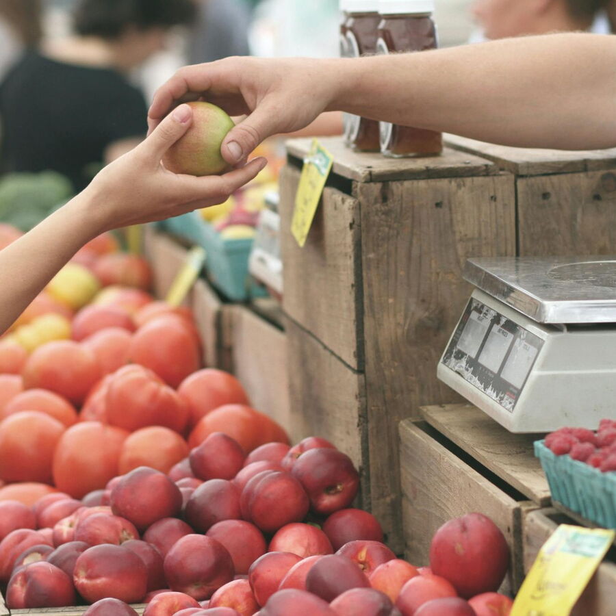Bauernmarkt mit Ständen voller frischer, regionaler Produkte wie Obst, Gemüse, Käse und Brot, umgeben von einer lebhaften Atmosphäre.