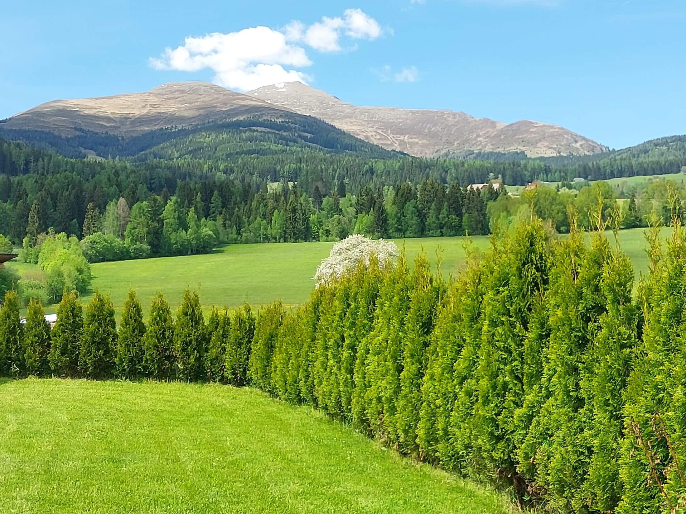 Ausblick auf den Greim von der AlpenSteinbock-Hütte aus.