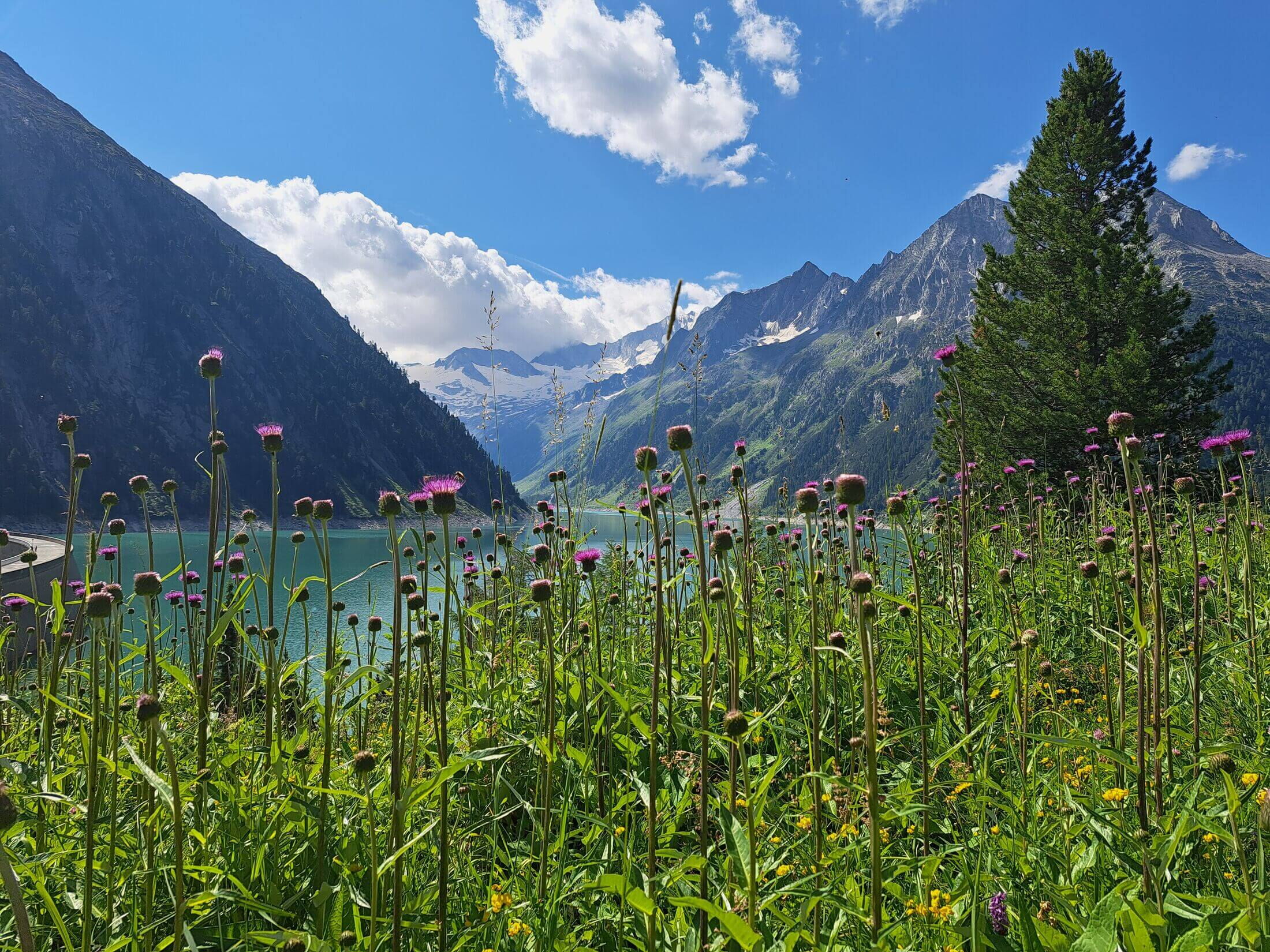 Sommer, Sonne und Bergwelt im Zillertal mit Blick bei der Wanderung, auf den Schlegeis Stausee.