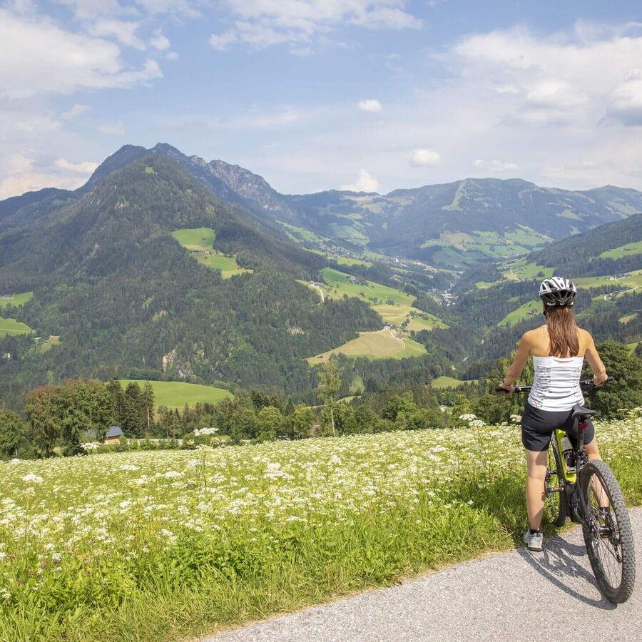 Mit den Bike auf den Reither Kogel mit tollem Ausblick.