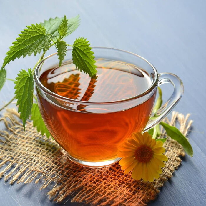 Am frühen Morgen eine Tasse vom frisch gepflückten Kräutertee genießen.