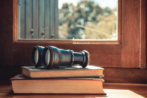 Bücherstapel vor einem Fenster, auf dem ein Fernglas liegt, symbolisierend die Verbindung zwischen Lesen und Beobachtung der Natur.