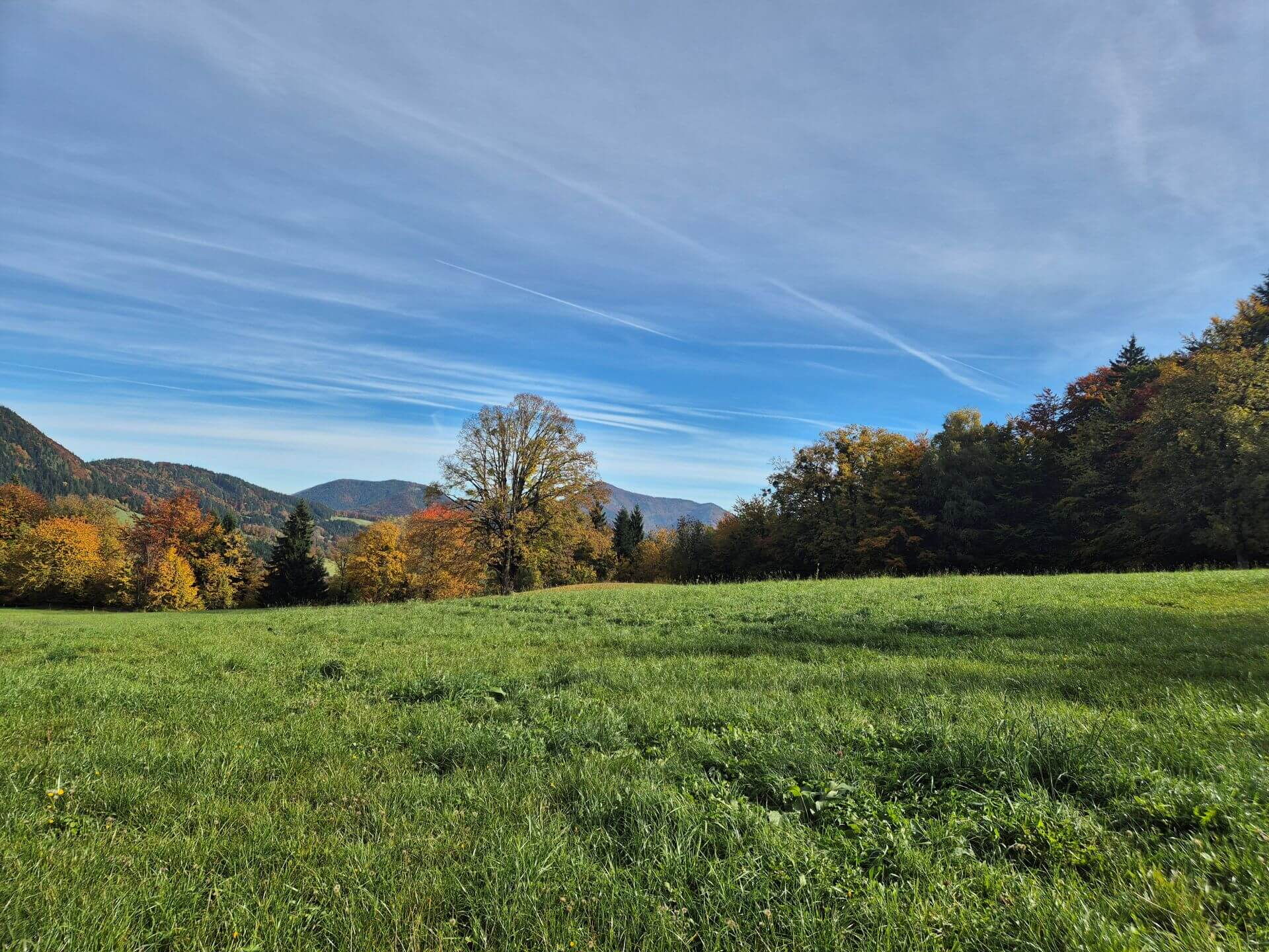 Die Umgebung im Mostviertel bei der Mühlenhütte, viel Natur, Landschaft und Grün.