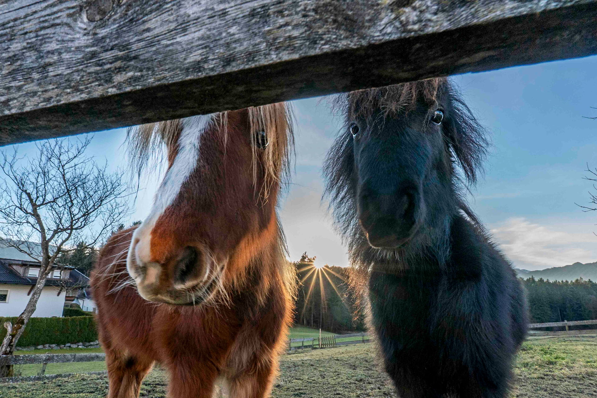 Riedhof-Zuahaus - d´kloane Mühle