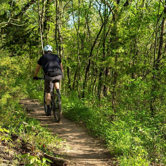 Mountainbiken im Wald: Ein spannendes Abenteuer auf ausgewiesenen Trails, das die Herausforderung des Geländes und die Schönheit der Natur kombiniert.