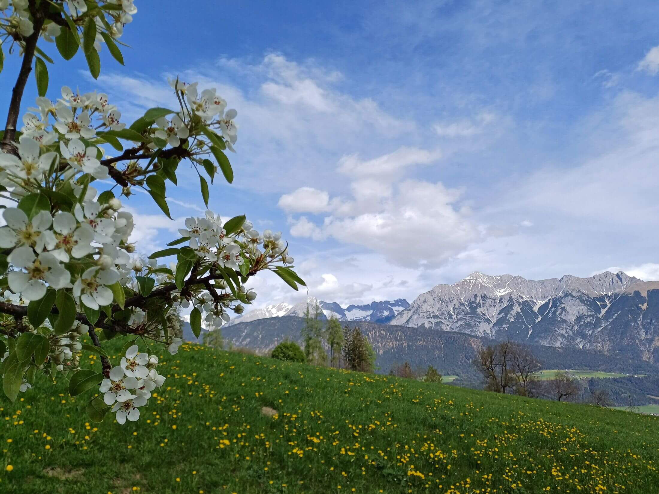 Blick von der Ferienwohnung Sternenhimmel in den Tuxer Alpen auf das Karwendelgebirge.