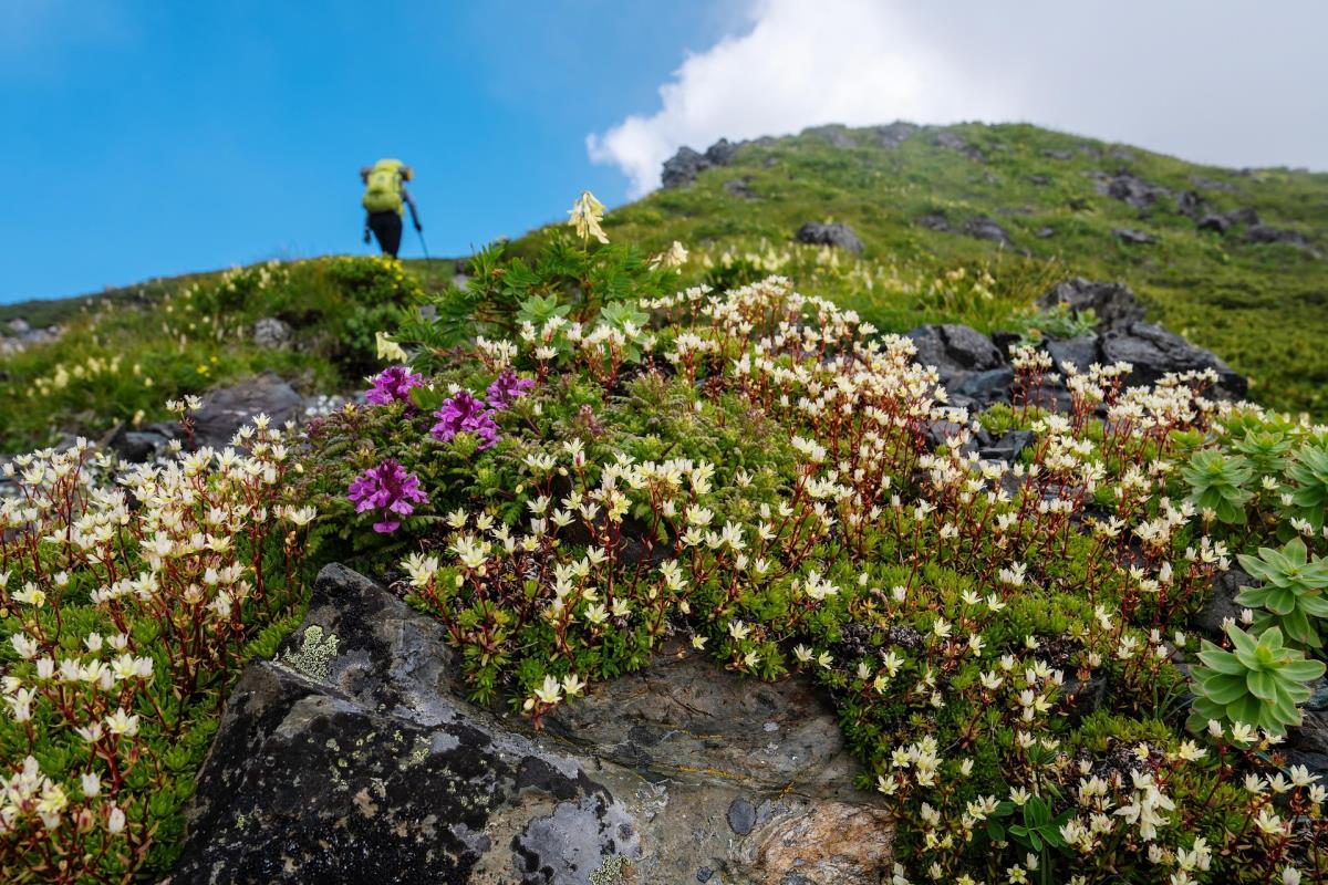 Abenteurer-Hütte am Geißenberg im Mostviertel