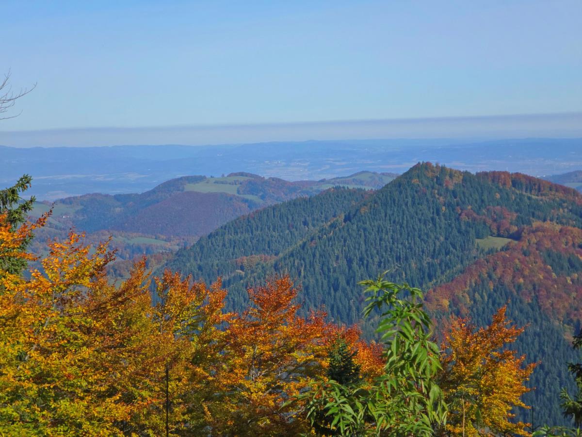 Abenteurer-Hütte am Geißenberg im Mostviertel