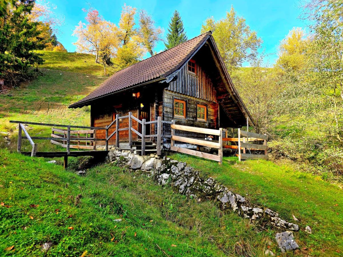 Mühlenhütte am Privatteich im Mostviertel