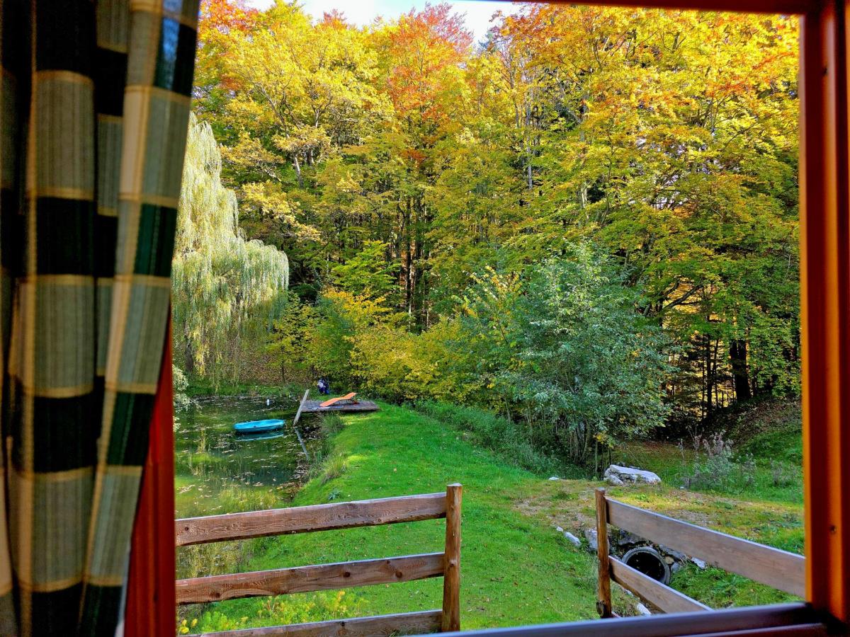 Mühlenhütte am Privatteich im Mostviertel