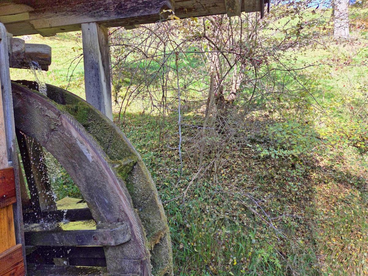 Mühlenhütte am Privatteich im Mostviertel