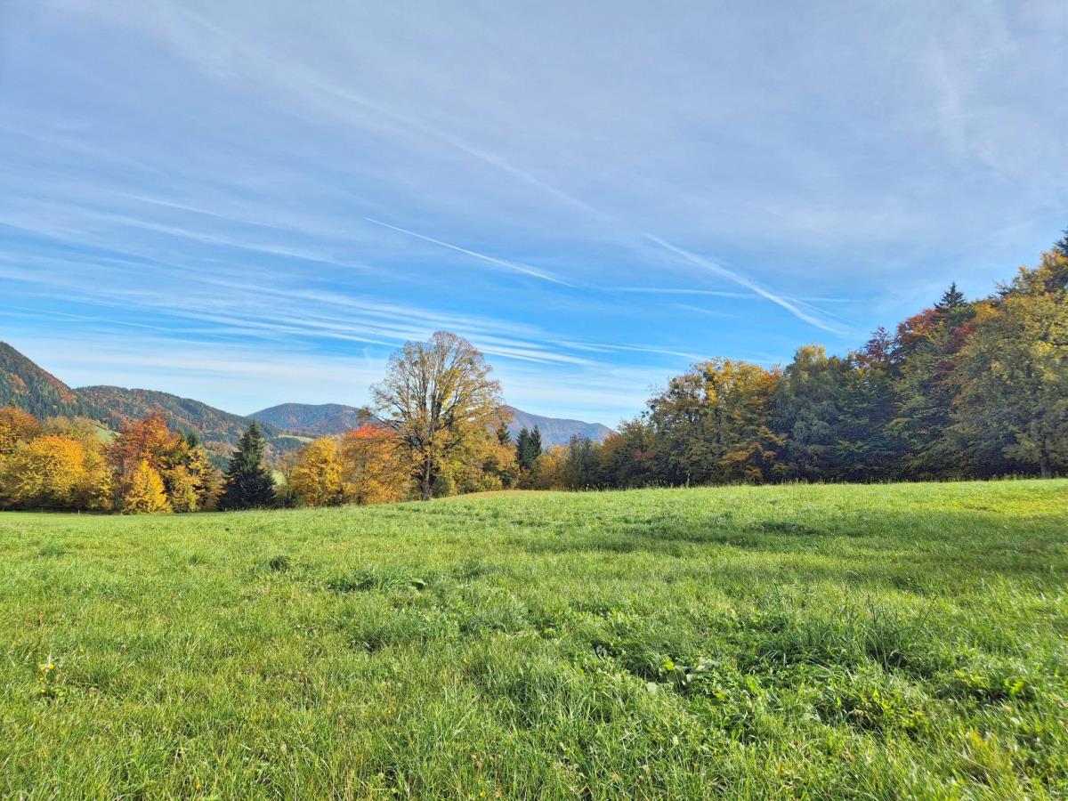 Mühlenhütte am Privatteich im Mostviertel
