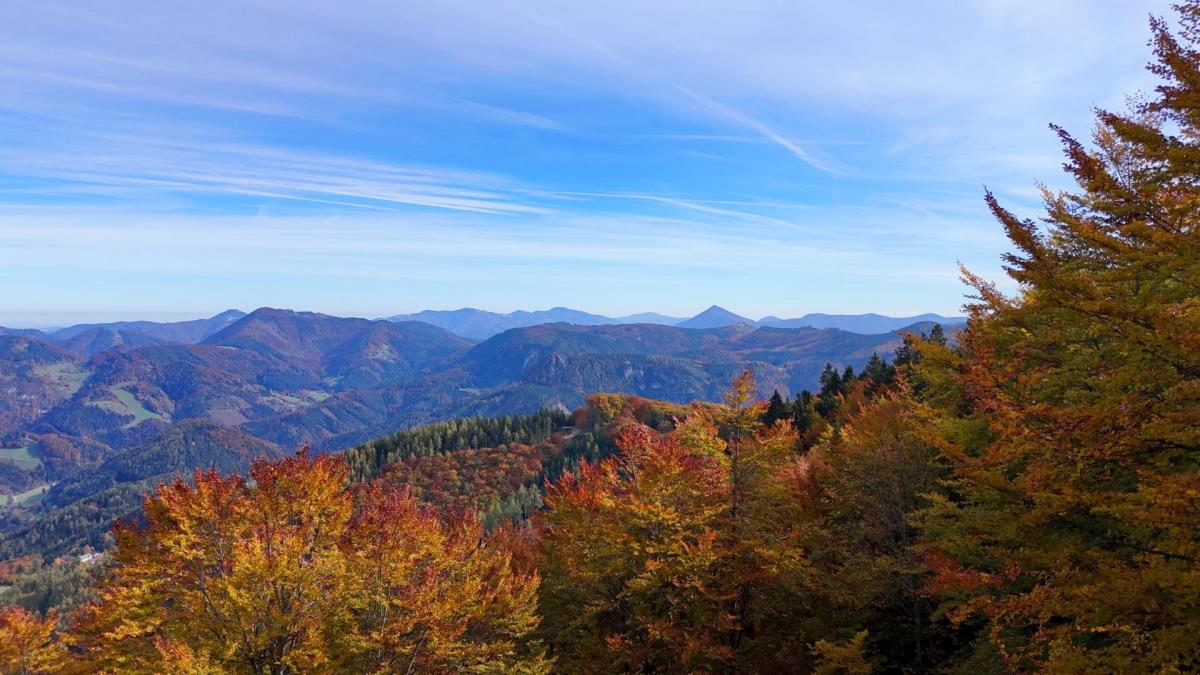 Mühlenhütte am Privatteich im Mostviertel