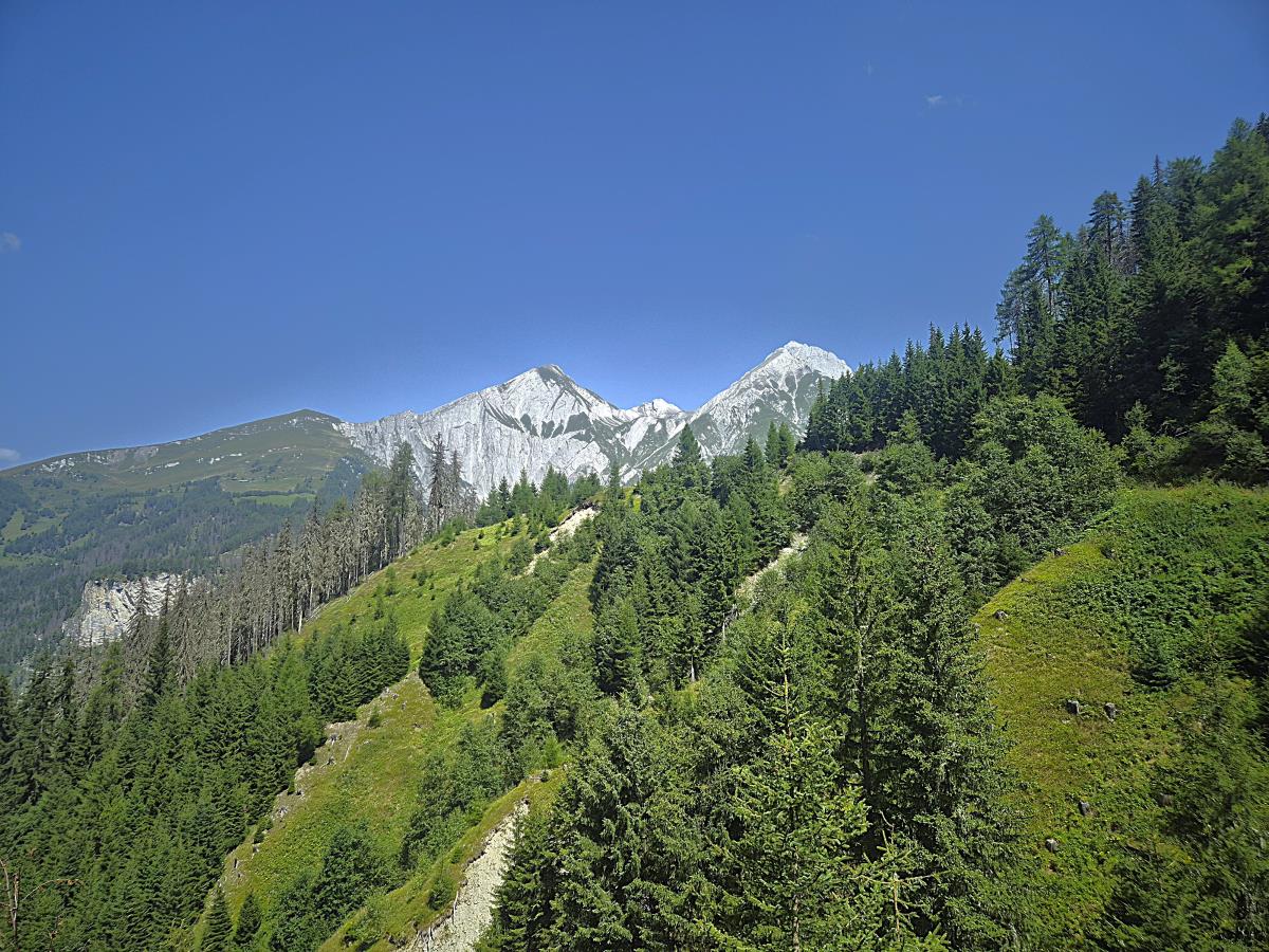 Zarze Almhütte in Matrei in Osstirol