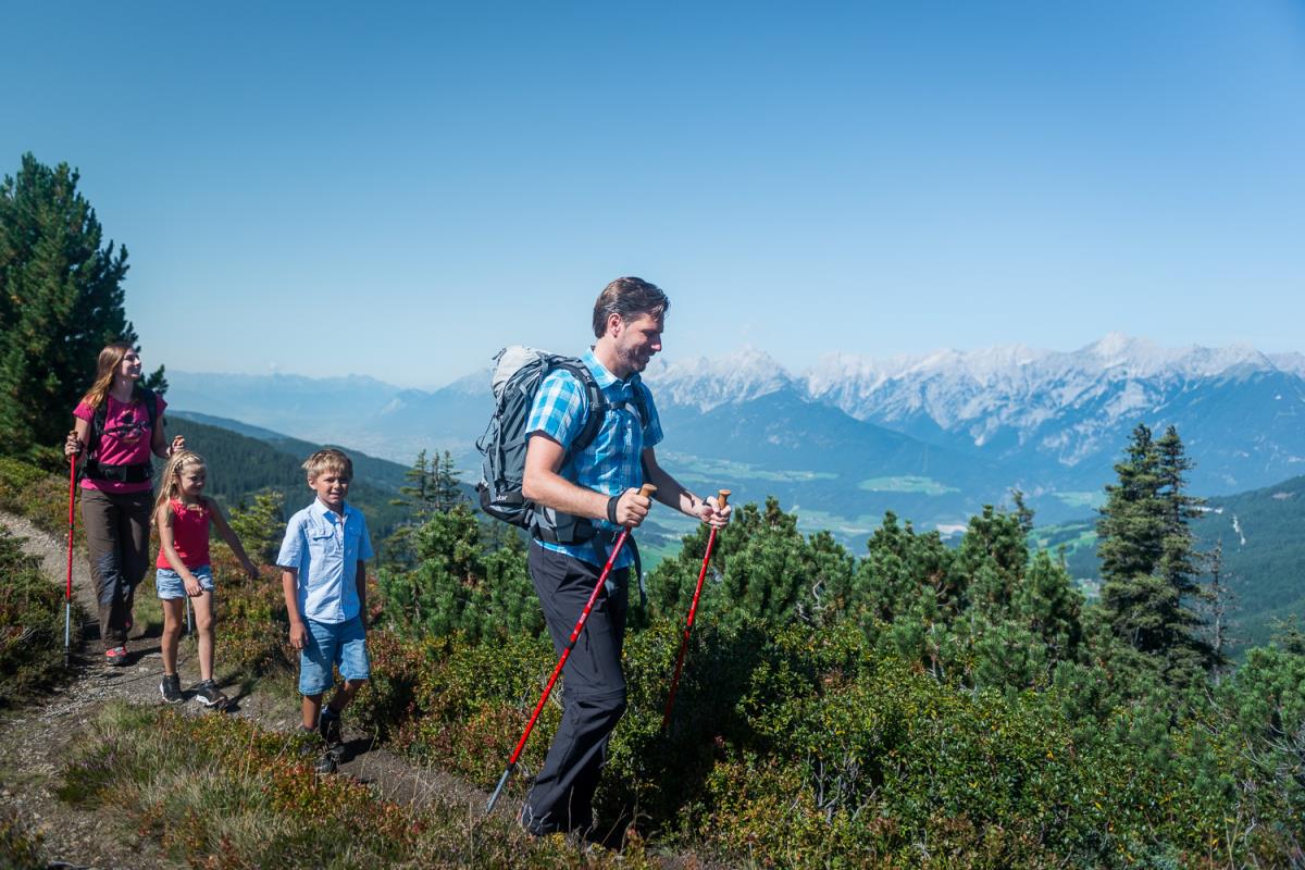 Alpenrehblick am Karwendelgebirge