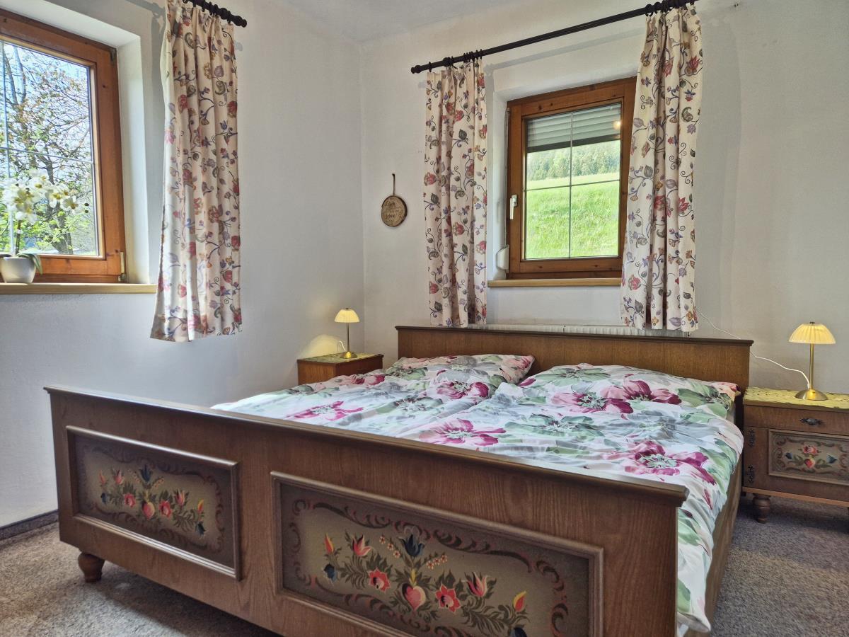 Alpenrehblick am Karwendelgebirge