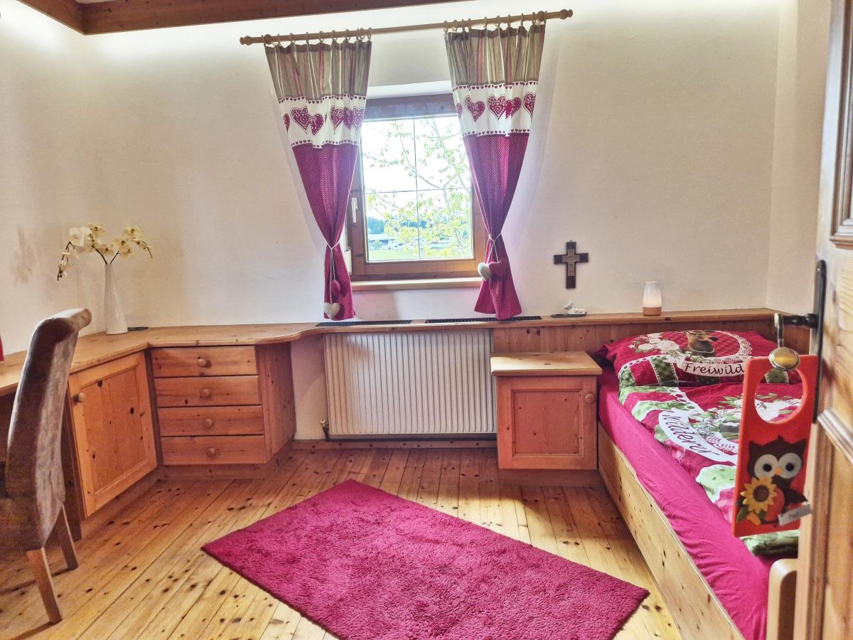 Alpenrehblick am Karwendelgebirge