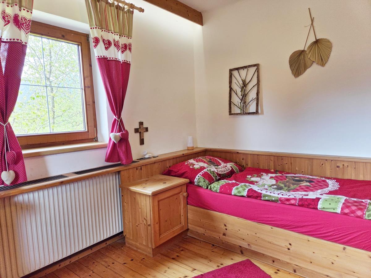 Alpenrehblick am Karwendelgebirge