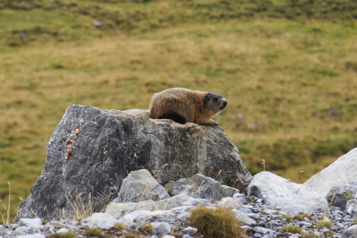 Kochhäusl in der Tuxer Alpen