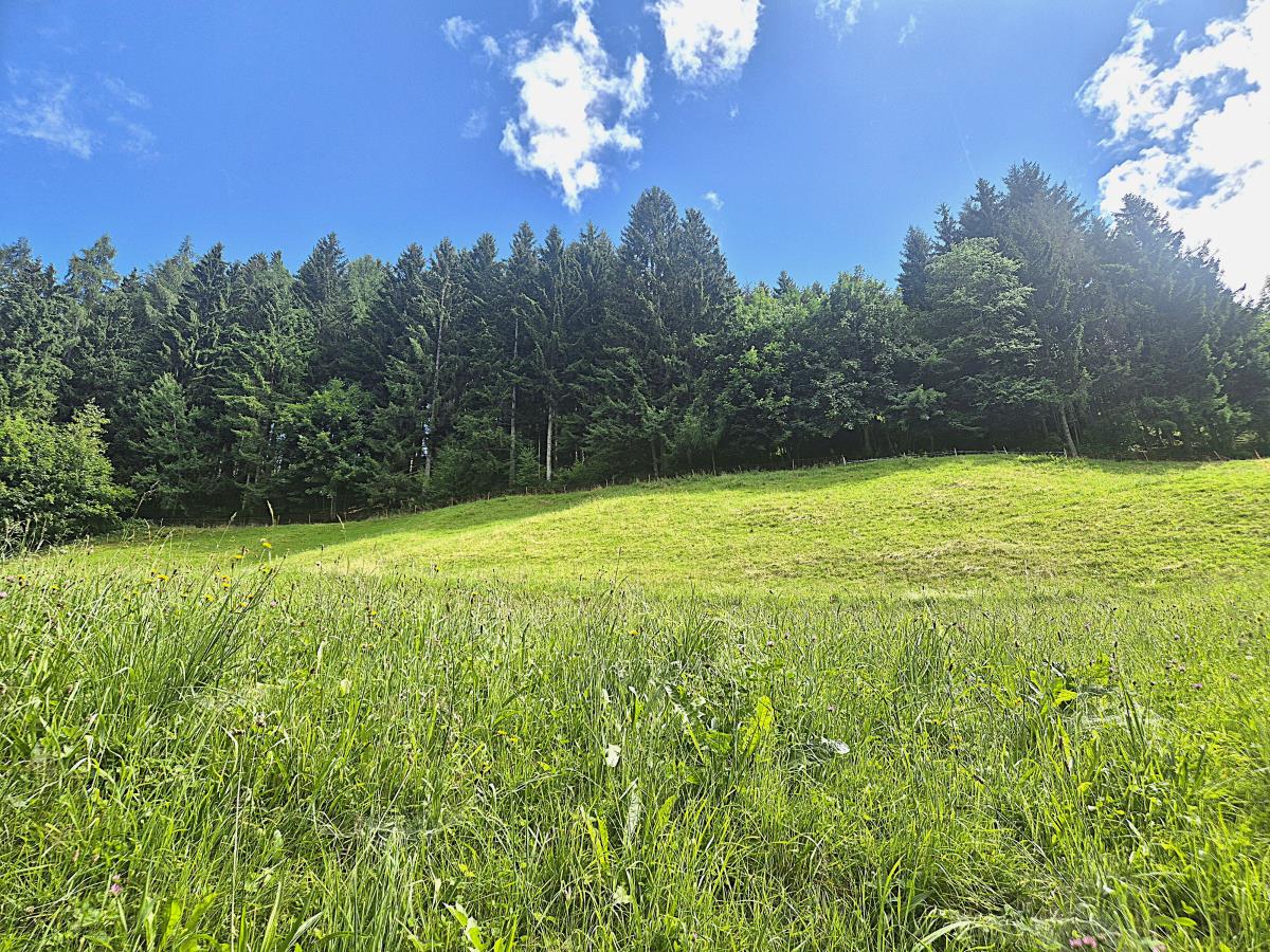 Kochhäusl in der Tuxer Alpen