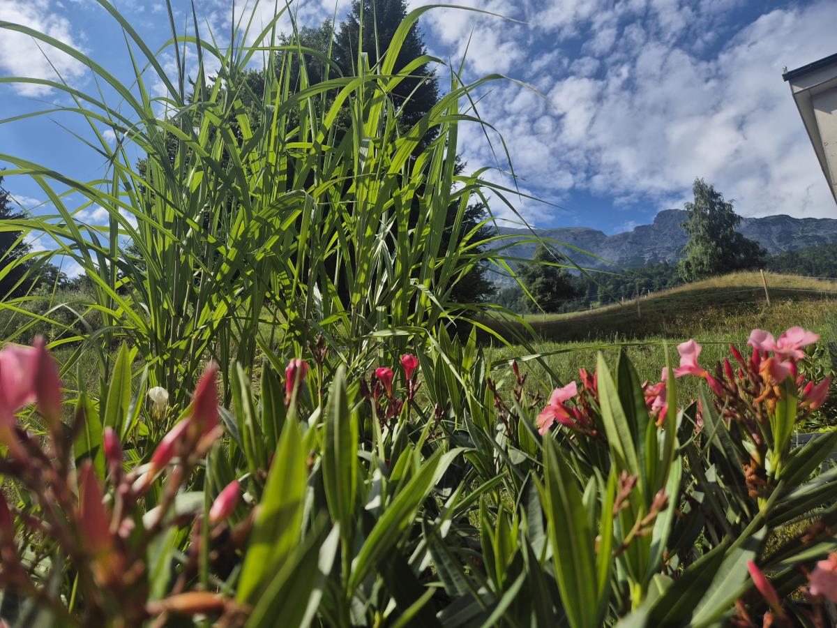 Alpenfamilienglück am Karwendel