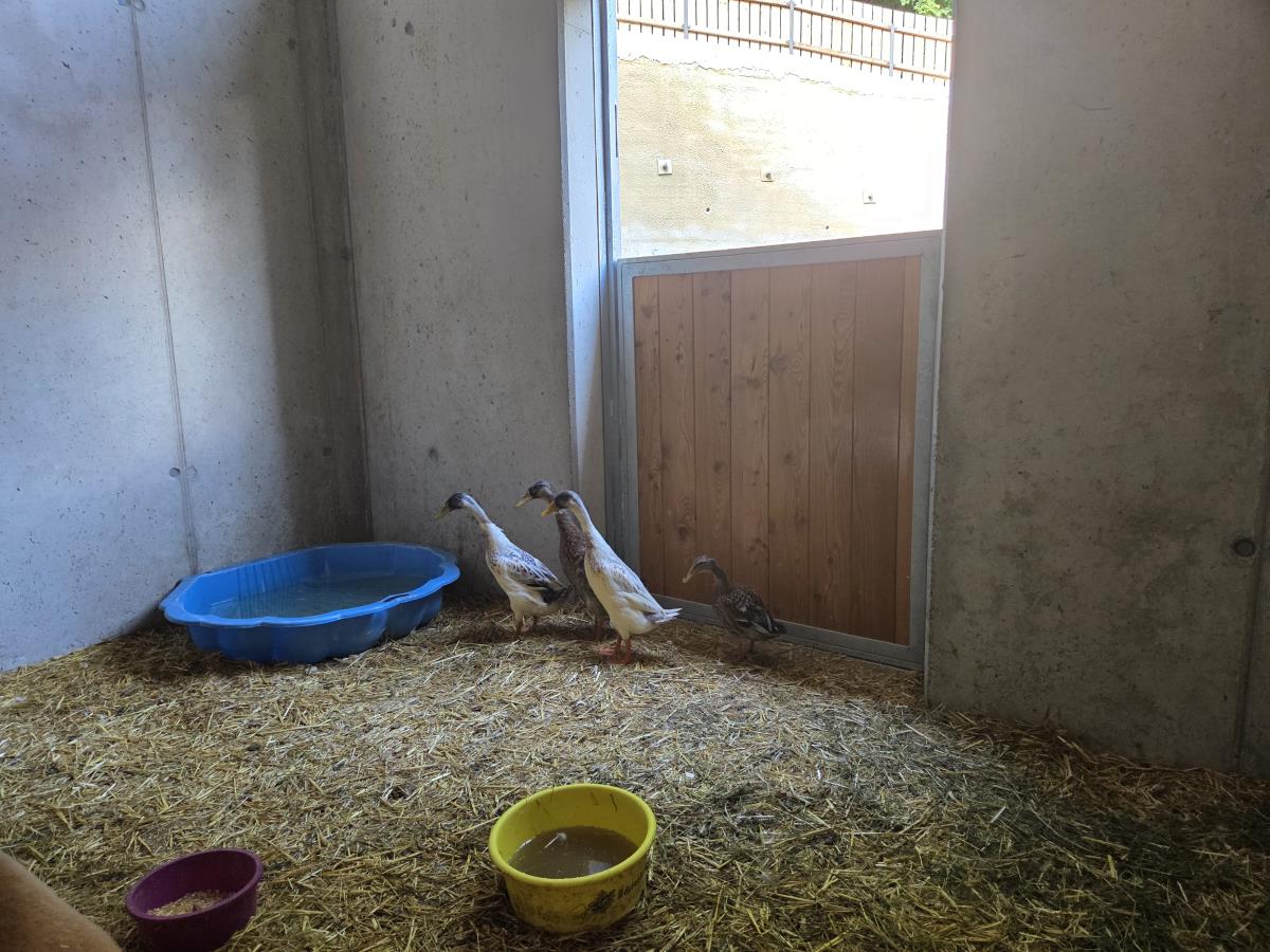 Alpenfamilienglück am Karwendel