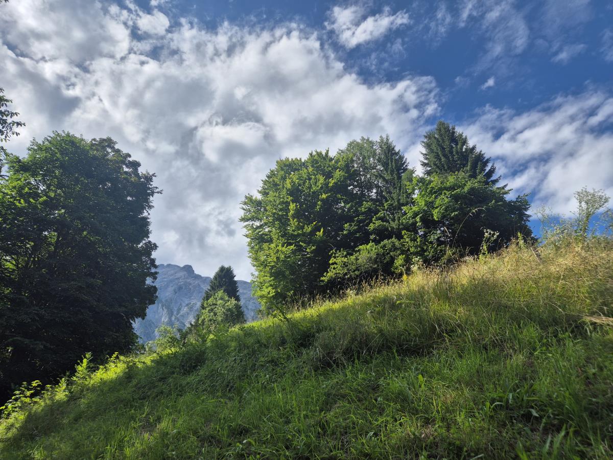 Alpenfamilienglück am Karwendel