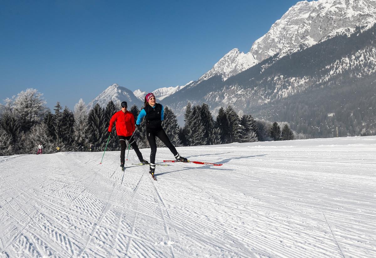 Pferdeheimat am Karwendel
