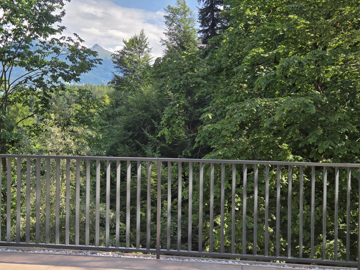 Waldsicht am Karwendelgebirge