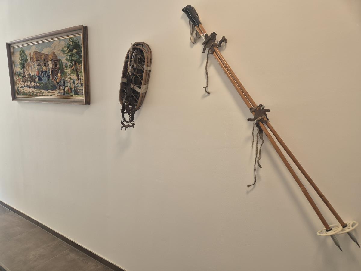 Waldsicht am Karwendelgebirge