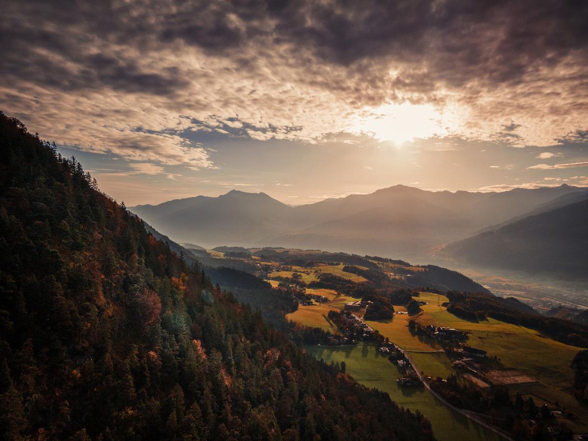 Waldsicht am Karwendelgebirge