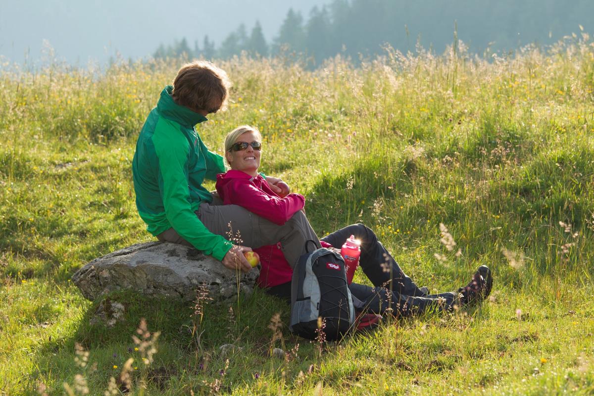Waldsicht am Karwendelgebirge