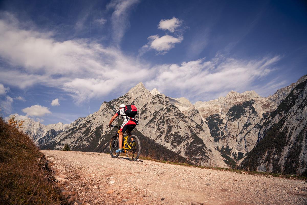 Waldsicht am Karwendelgebirge