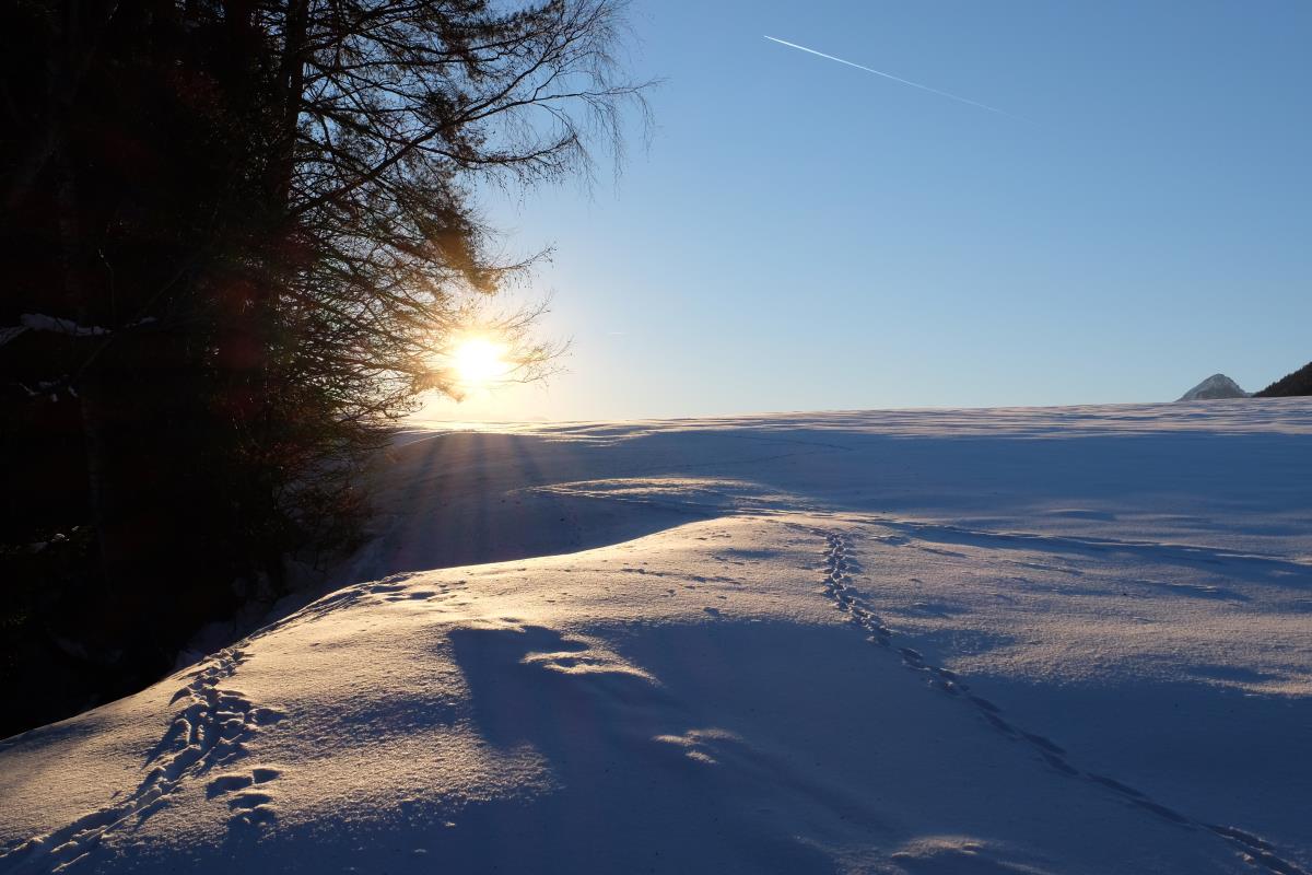 Waldhüttl am Karwendelgebirge