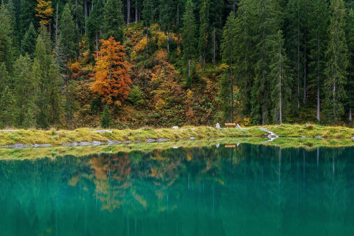 Sonnenbalkon-Luxuslodge "Bärenkopf"