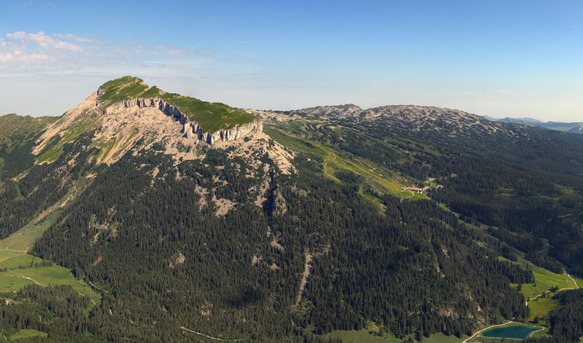 Garten-Luxuslodge "Hammerspitze"