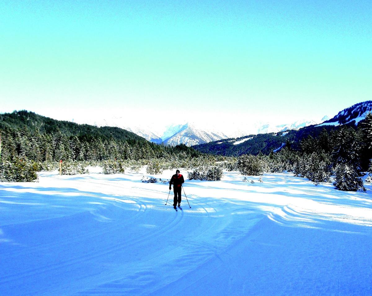 Alpenglück-LuxusLodge "Widderstein"
