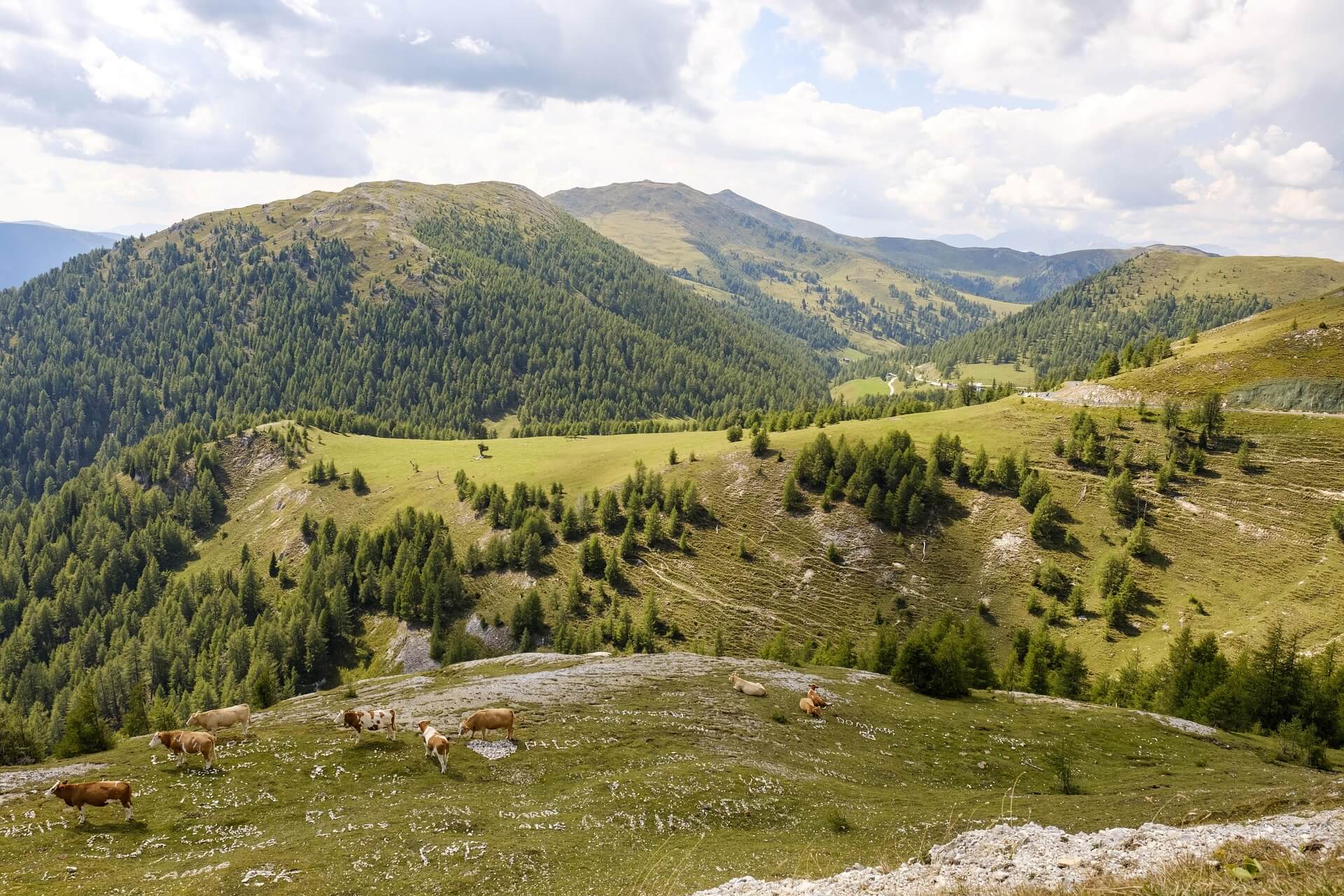 Die Nockberge im Biosphärenpark Hochrindl erstrahlen im saftigen Grün.
